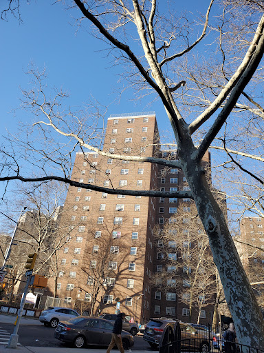 NYC Health Hospitals image 2