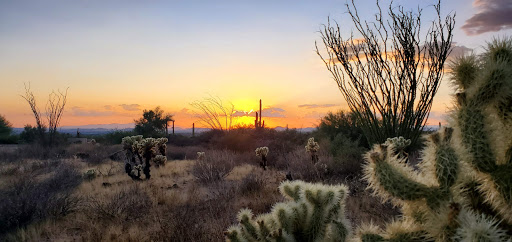 Golf Club «Desert Highlands Golf Club», reviews and photos, 10040 E Happy Valley Rd, Scottsdale, AZ 85255, USA