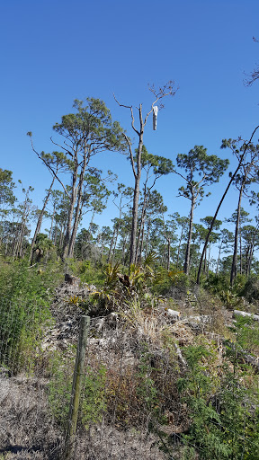 Nature Preserve «Koreshan Preserve», reviews and photos, 3891 Broadway W, Estero, FL 33928, USA