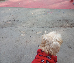 Cerro de Jesus Park photo