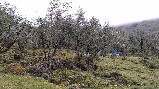 8HH7+5PW, Ecuador