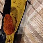 Photo n°11 de l'avis de Margherita.i fait le 20/09/2021 à 20:56 sur le  Ristorante Da Lina à Stimigliano