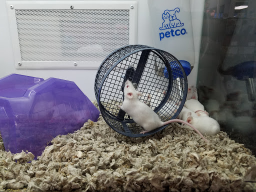 Pet Supply Store «Petco Animal Supplies», reviews and photos, 390 East 525 North, Harrisville, UT 84404, USA