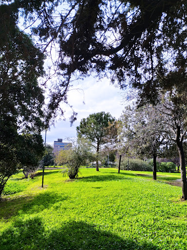 Πάρκο Ακαδημίας Πλάτωνος