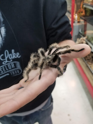 Shopping Mall «Hampton Plaza Shopping Center», reviews and photos, 4033 W Mercury Blvd, Hampton, VA 23666, USA