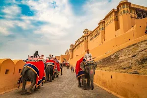 Dhanraj Jaipur tour guide image