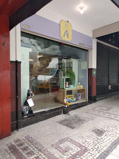 Logo da empresa - Pet pra mim