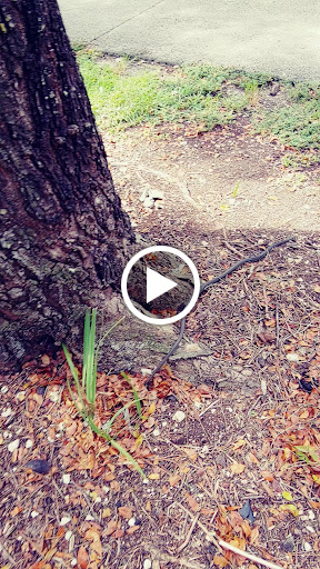 Park «Larry and Penny Thompson Park», reviews and photos, 12451 SW 184th St, Miami, FL 33177, USA