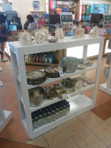 Department Store «Bealls Department Store», reviews and photos, 360 Cbl Dr, St Augustine, FL 32086, USA