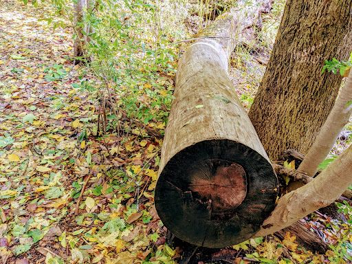 Nature Preserve «Steer Swamp Conservation Area», reviews and photos, 188 Washington St, Marblehead, MA 01945, USA