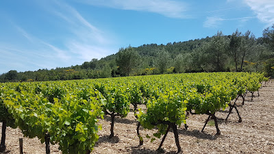 Domaine de Foltodon à Saint-Côme-et-Maruéjols