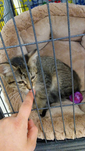 Pet Supply Store «Pet Supplies Plus», reviews and photos, 5708 State St, Saginaw, MI 48603, USA