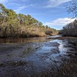 Mashpee River Woodlands