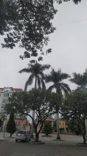 Top 20 cửa hàng bán collagen Huyện Đông Hưng Thái Bình 2022