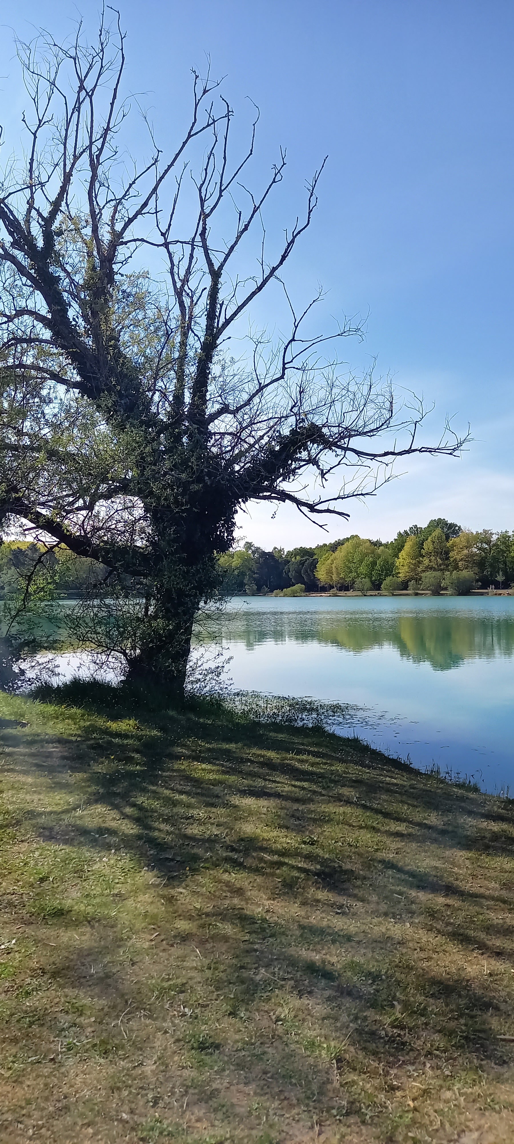 Photo n° 1 de l'avis de Philippe.o fait le 19/04/2021 à 16:37