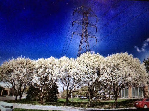 Movie Theater «AMC Dublin Village 18», reviews and photos, 6700 Village Pkwy, Dublin, OH 43017, USA