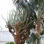 Photo n°2 de l'avis de fabrizio.a fait le 21/04/2022 à 08:28 sur le  Giardini Mon Plaisir à Trapani