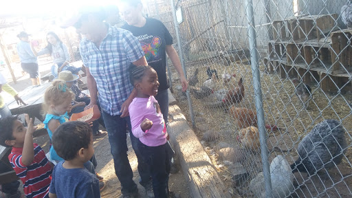 Zoo «Jr Pony Parties», reviews and photos, 1744 N Leonard Ln, Las Vegas, NV 89108, USA