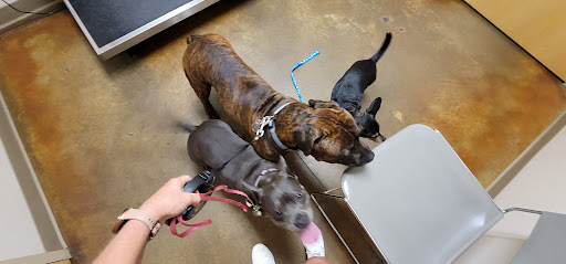 6311 Colonel Glenn Rd, Little Rock, AR 72204, USA