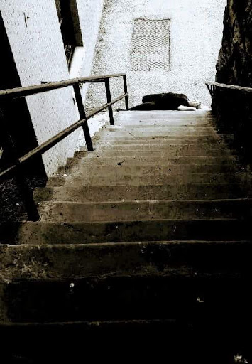 Tourist Attraction «