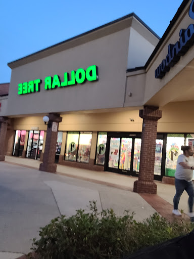 Dollar Store «Dollar Tree», reviews and photos, 2464 W Brandon Blvd, Brandon, FL 33511, USA