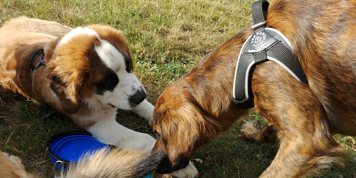 Live Music Venue «Revolution Hall», reviews and photos, 1300 SE Stark St #110, Portland, OR 97214, USA