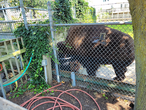 Wildlife Park «Wildlife & Ecology Center», reviews and photos, 249 Buckley Rd, Holtsville, NY 11742, USA