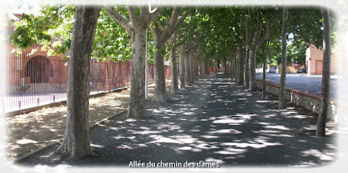 Allée du chemin des dames à Thuir