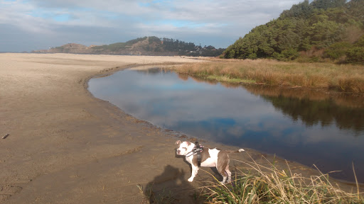 Department Store «Walmart Supercenter», reviews and photos, 160 NW 25th St, Newport, OR 97365, USA