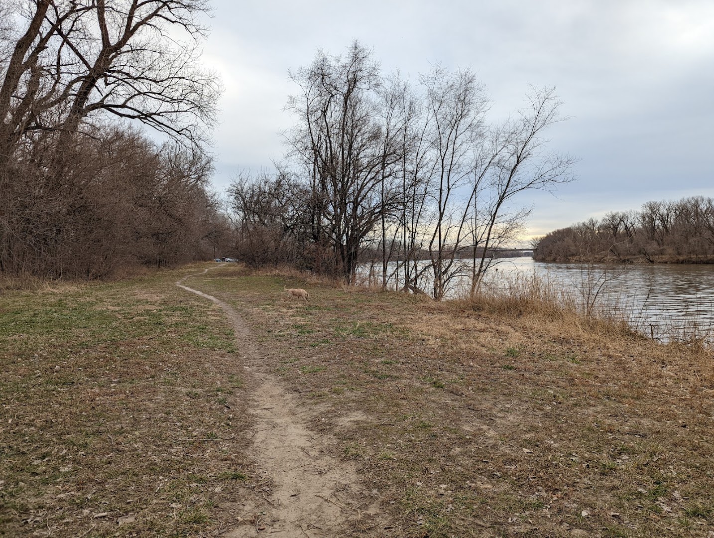 Riverfront Dog Park