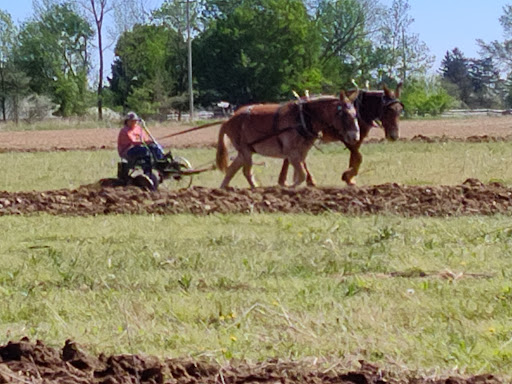Nature Preserve «DeVries Nature Conservancy», reviews and photos, 2635 N Michigan 52, Owosso, MI 48867, USA