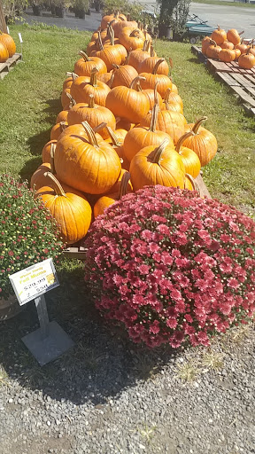 Hewitts Garden Center Inc Glenville image 6