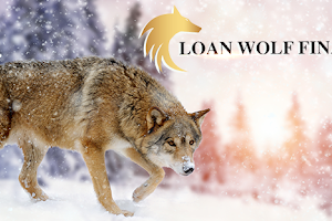 Loan Wolf Financing