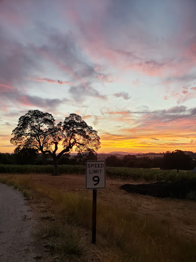 Winery «Twisted Oak Winery», reviews and photos, 4280 Red Hill Rd, Vallecito, CA 95251, USA