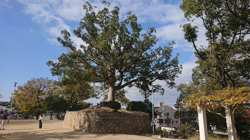 聖天山公園