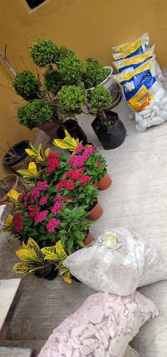 Home Improvement Store «The Home Depot», reviews and photos, 409 N Jackson Ave, Pharr, TX 78577, USA