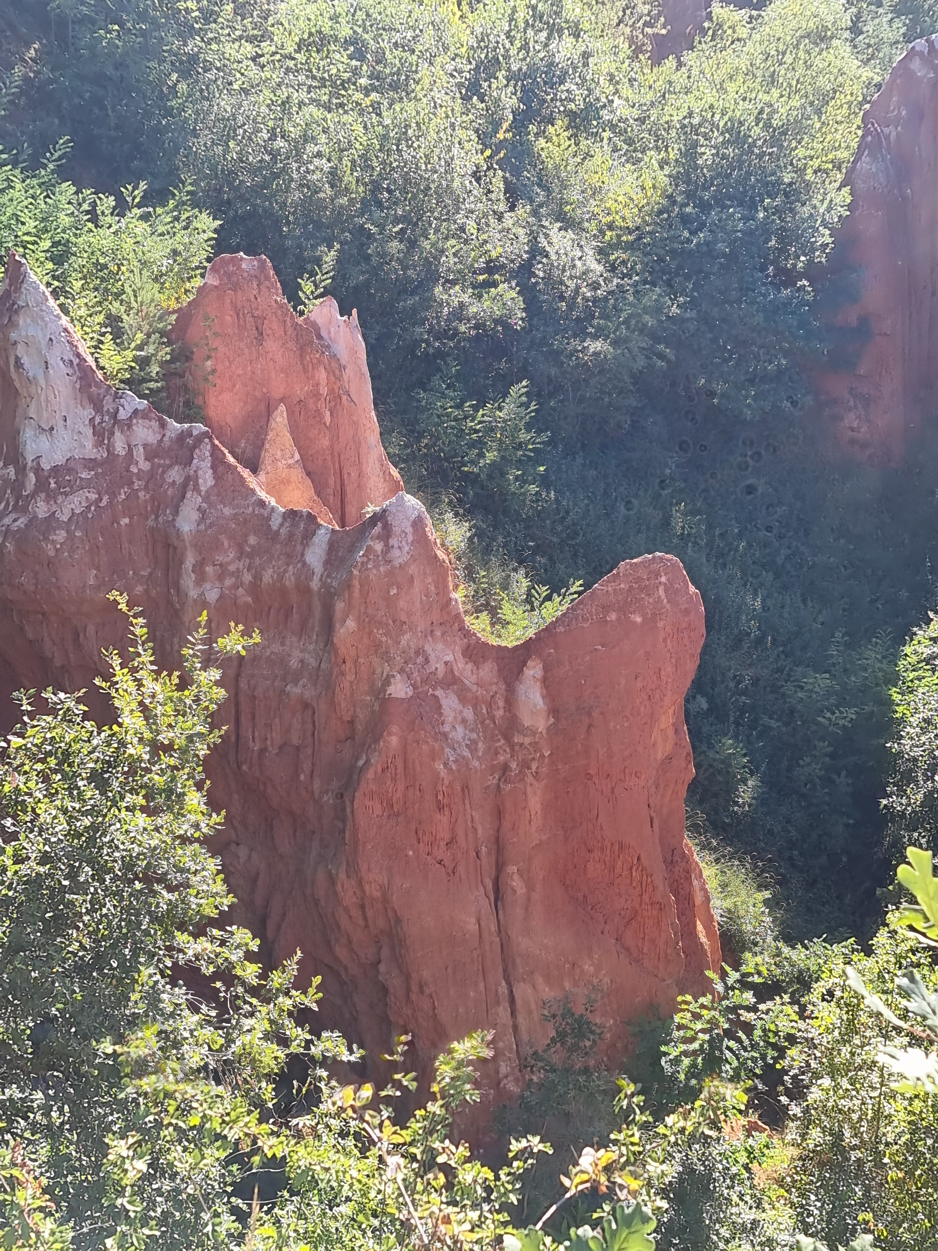 Photo n° 1 de l'avis de Stéphane.r fait le 09/08/2023 à 18:06