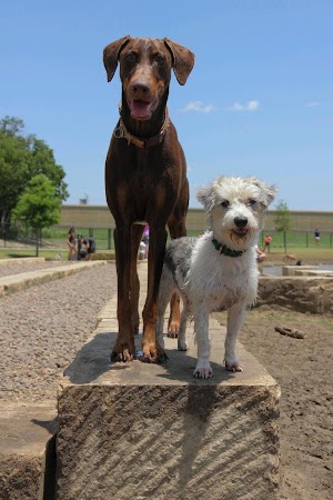 NorthBark Dog Park - photo 49