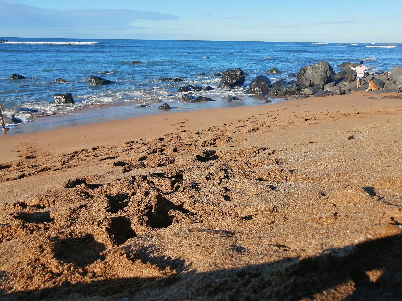 Foto af Cobanos beach faciliteter område