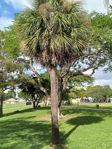 Park «Juan Pablo Duarte Park», reviews and photos, 2800 NW 17th Ave, Miami, FL 33142, USA