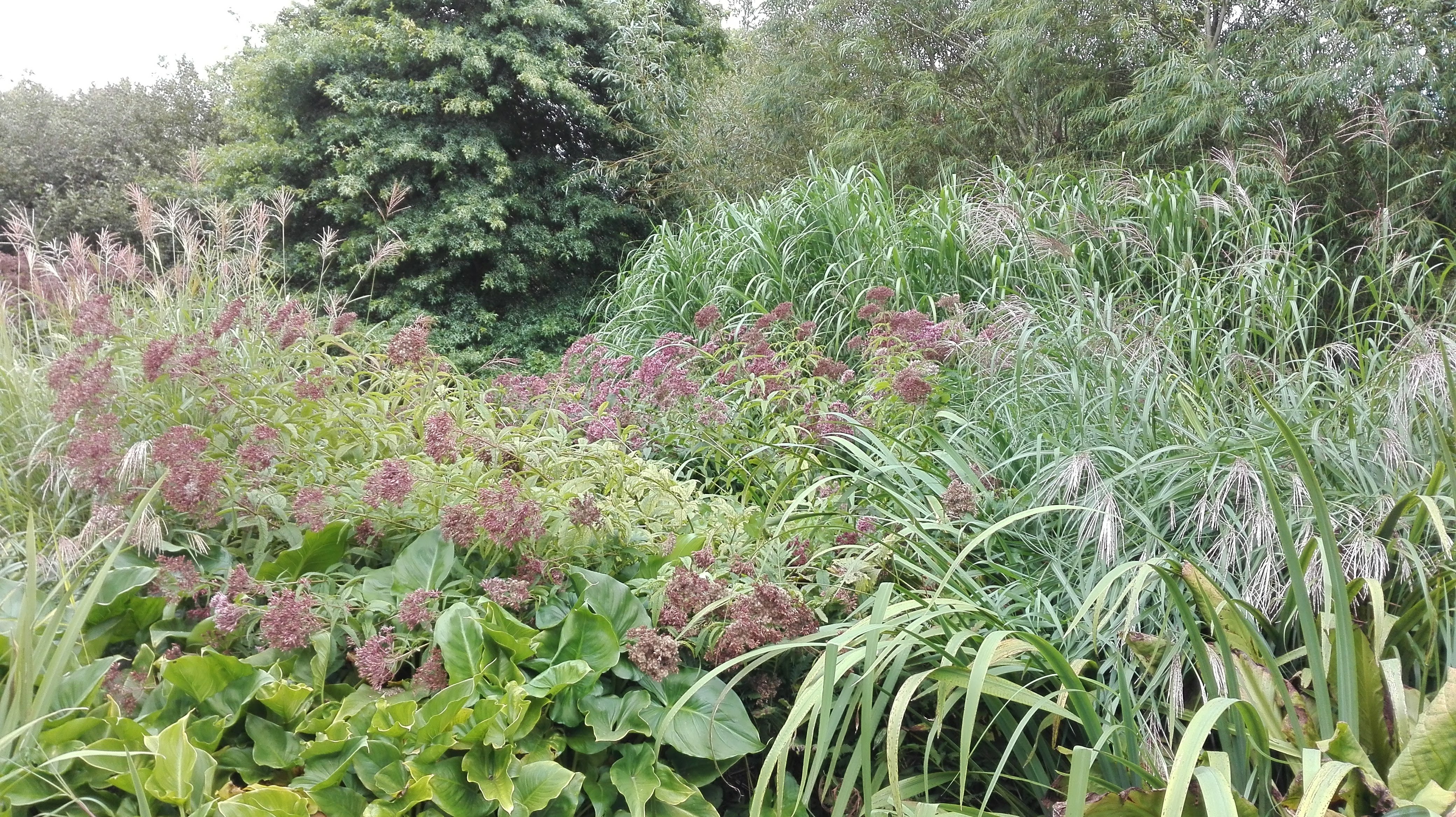 Photo n° 3 de l'avis de Kerstin.. fait le 31/08/2018 à 20:36