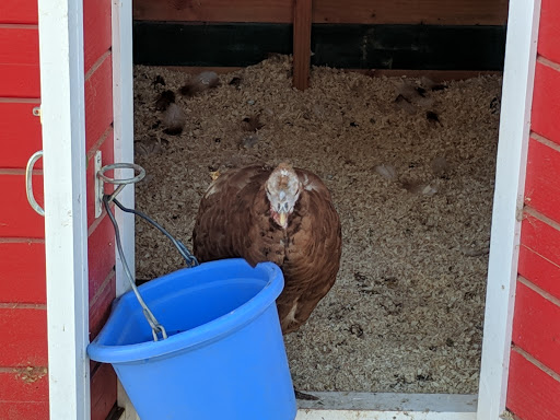 Produce Market «Underwood Family Farms», reviews and photos, 3370 Sunset Valley Rd, Moorpark, CA 93021, USA