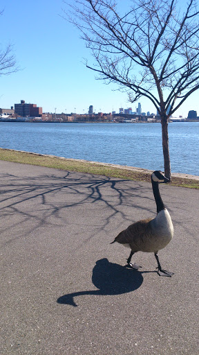 Park «Carl Schurz Park», reviews and photos, East 86th Street & East End Ave, New York, NY 10028, USA