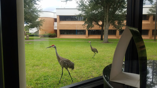 Book Store «Daytona State College Bookstore - DeLand Campus», reviews and photos, 1155 County Road 4139, DeLand, FL 32724, USA