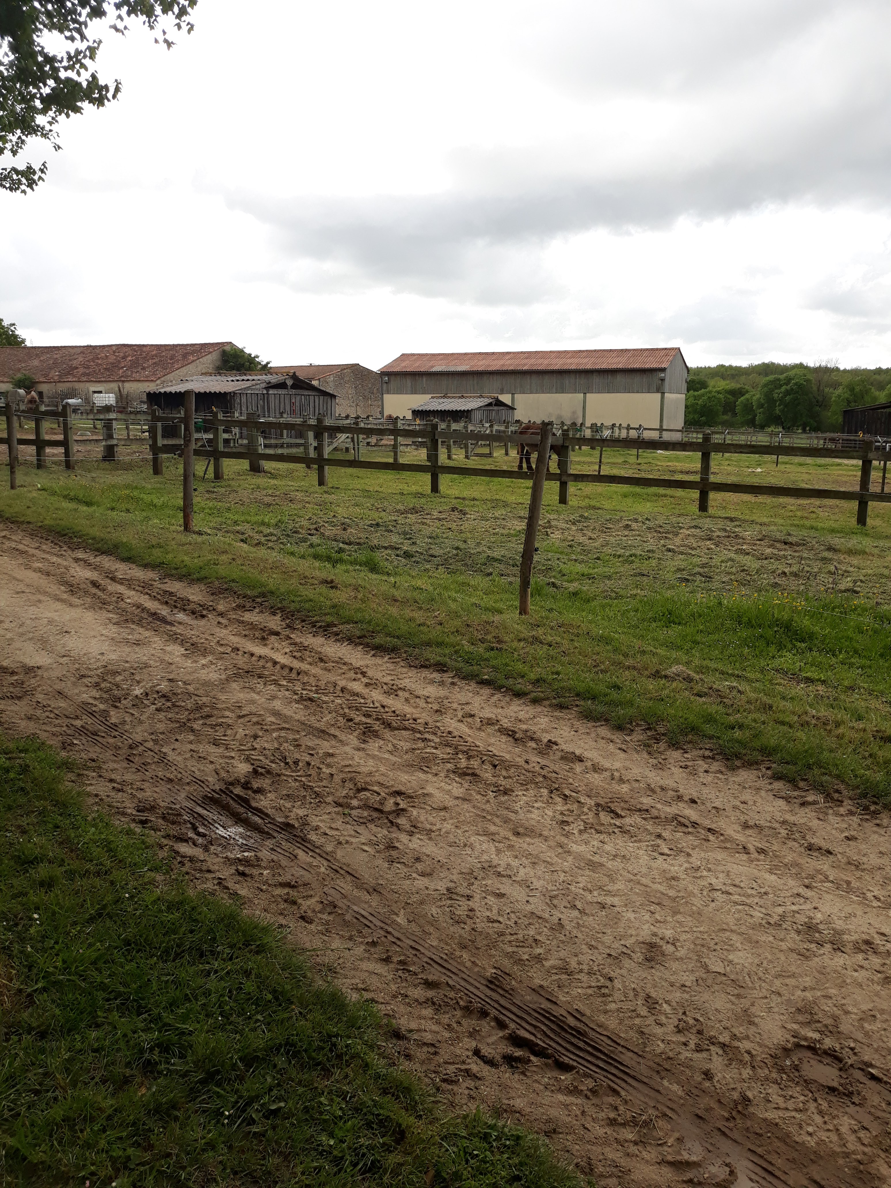 Photo n° 6 de l'avis de Nathalie.i fait le 28/04/2019 à 10:40