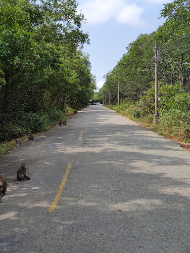 Top 20 cửa hàng play Huyện Cần Giờ Hồ Chí Minh 2022