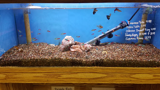 Tropical Fish Store «Ocean Design Aquarium», reviews and photos, 7542 W Addison St, Chicago, IL 60634, USA