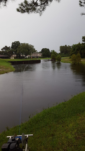 Golf Course «Countryside Country Club», reviews and photos, 3001 Countryside Blvd, Clearwater, FL 33761, USA