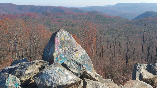 National Forest «Pisgah National Forest», reviews and photos, 1600 Pisgah Highway, Nebo, NC 28761, USA