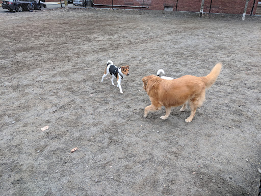 Park «Nunziato Field Dog Park», reviews and photos, Putnam St, Somerville, MA 02143, USA